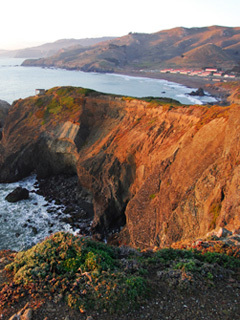 Marin