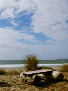 Point Reyes